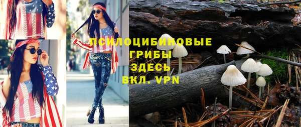 прущая мука Дмитровск