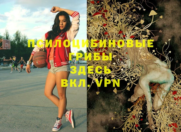 прущая мука Дмитровск