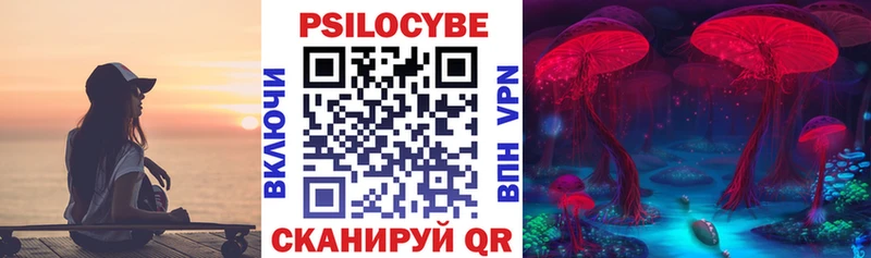 Купить  Бийск  Псилоцибиновые грибы Psilocybe 
